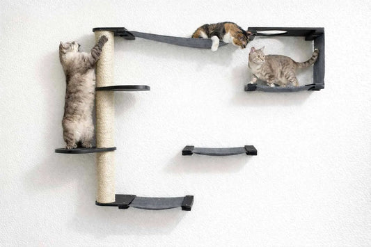 The Climb Condo Cat Wall Climbing System; beige sisal post with gray platforms, two cats.