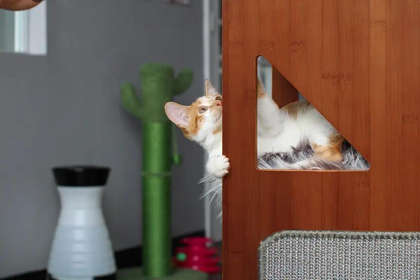 The Overlook bamboo cat condo by Catastrophic Creations, orange wood with a triangular window, cat peeking out.