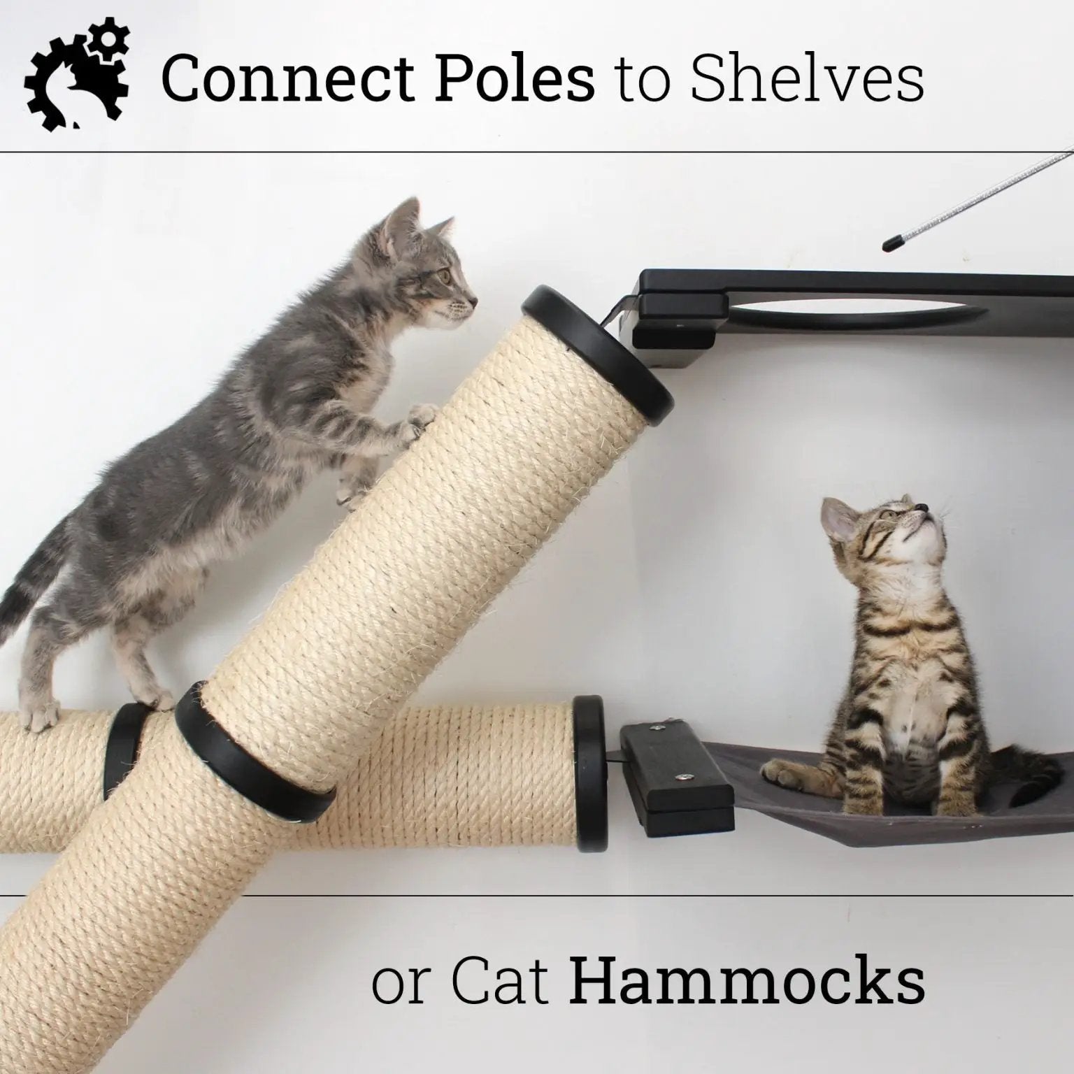 Slanted cat scratcher for wall with beige sisal rope; one kitten on scratcher and another on a wall-mounted hammock.