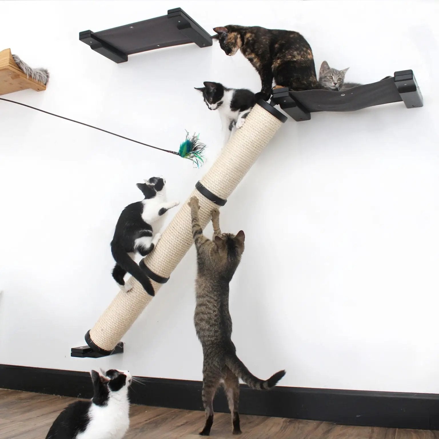Slanted Cat Scratcher for Wall by Catastrophic Creations; beige sisal post with black brackets, several cats climbing