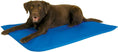 Load image into Gallery viewer, K&H Cool Bed III for Dogs on a blue cooling dog bed.
