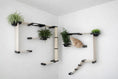 Bild in Galerie-Betrachter laden, The Gardens cat condo by Catastrophic Creations with planter shelves, light wood, black connectors, cat resting.
