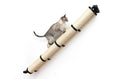 Carica l'immagine nel visualizzatore della galleria, Slanted Cat Scratcher for Wall by Catastrophic Creations; beige sisal-wrapped cat ramp

