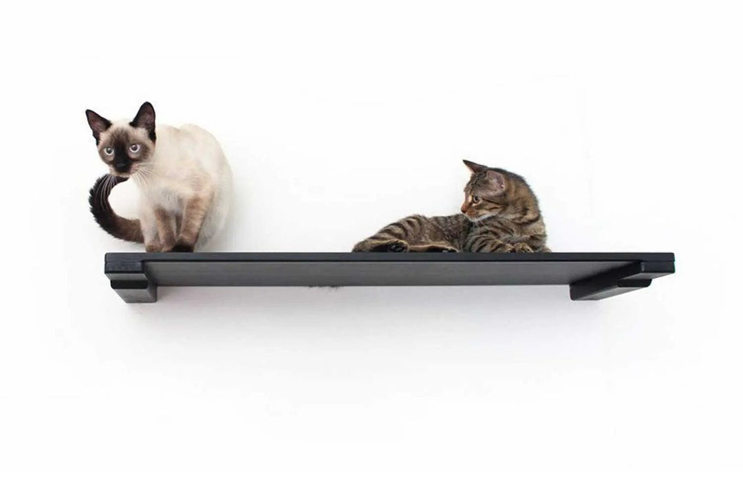Wall Mounted Cat Shelf by Catastrophic Creations; black cat perch with two cats.
