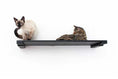 Load image into Gallery viewer, Wall Mounted Cat Shelf by Catastrophic Creations; black cat perch with two cats.
