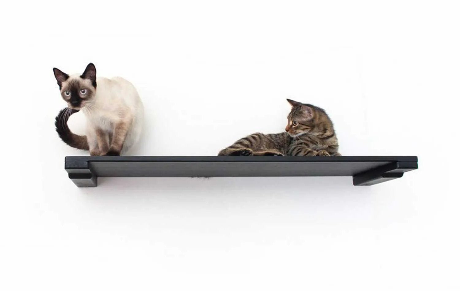 Wall Mounted Cat Shelf by Catastrophic Creations; black cat perch with two cats.
