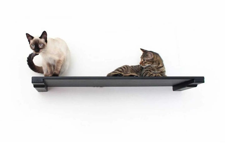 Wall Mounted Cat Shelf by Catastrophic Creations; black cat perch with two cats.