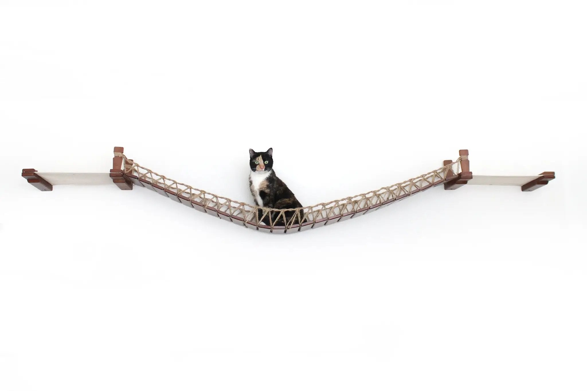 Double Cat Hammock and Climbing Bridge Combo cat bridge in brown wood and rope, with a cat perched