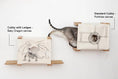 Carica l'immagine nel visualizzatore della galleria, Cat Cubby for Wall - Covered Cat Bed by Catastrophic Creations, cubbies with wood ledges, dragon & porthole canvases
