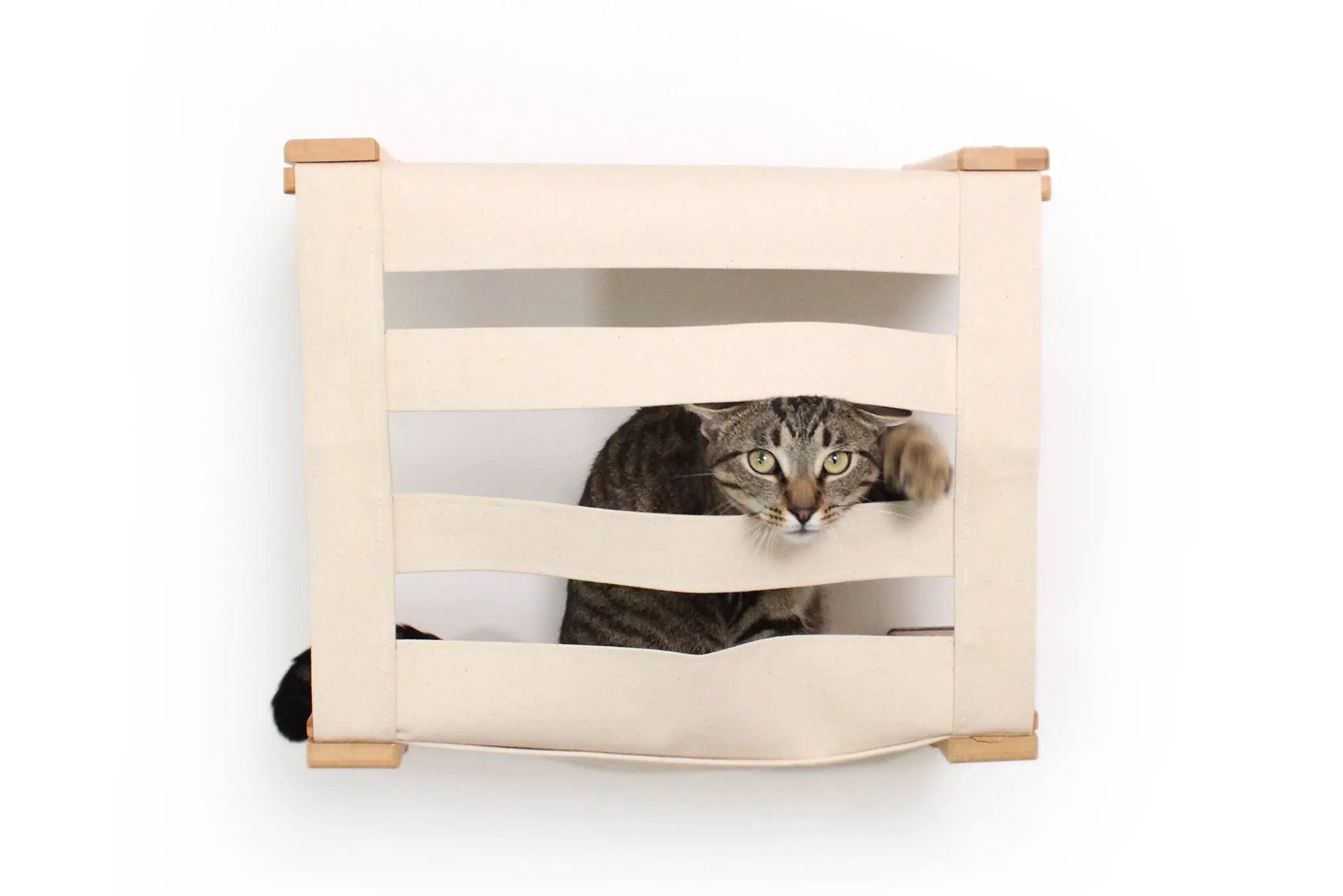 Enclosed Cat Bed - Cat Wall Cubby in natural wood finish with a cat peeking out of the opening