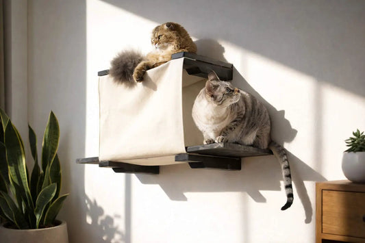Cat Cubby for Wall – Covered Cat Bed by Catastrophic Creations, beige fabric with black wood shelves and two cats.