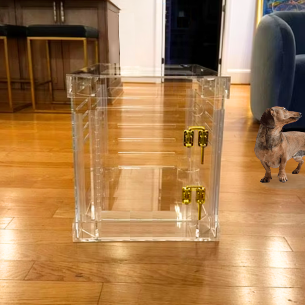 Hiddin Clear Acrylic Dog Crate – Small, Gold Latch