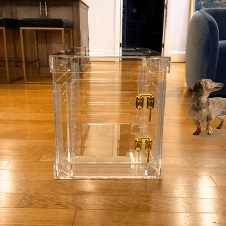 Hiddin Clear Acrylic Dog Crate – Small, Gold Latch