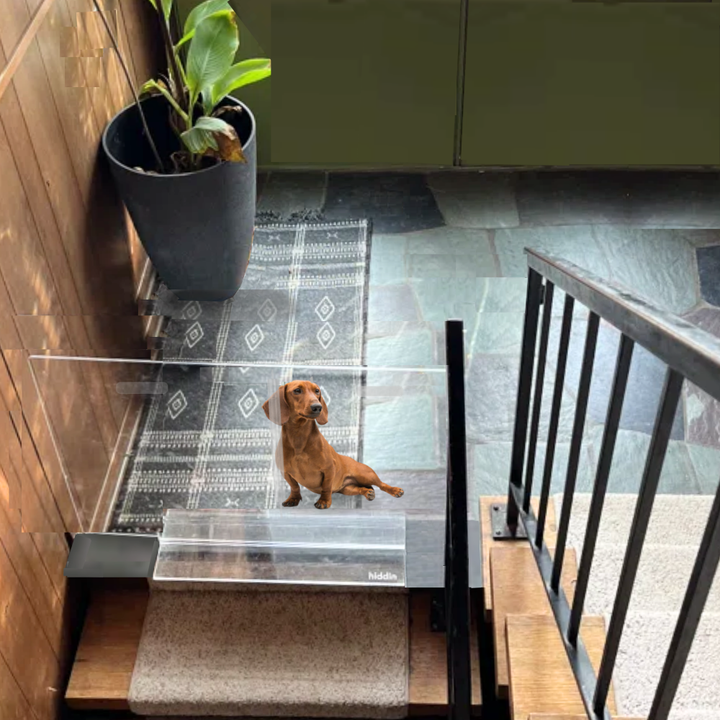 Hiddin Clear Acrylic Panel Pet Gate – Freestanding, 24 in High