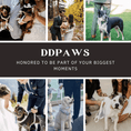 Load image into Gallery viewer, Luxe Blue Green Satin Dog Harness And Leash Set No Pull Custom Matching Pet Walking Gear Style by DDPaws
