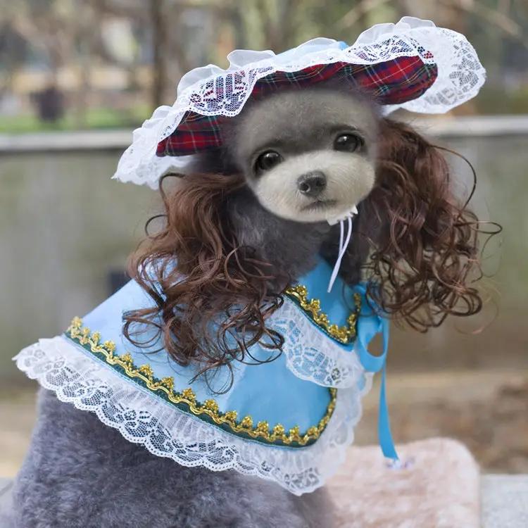 Dog Christmas outfit, blue lace-trim cape with white lace bonnet