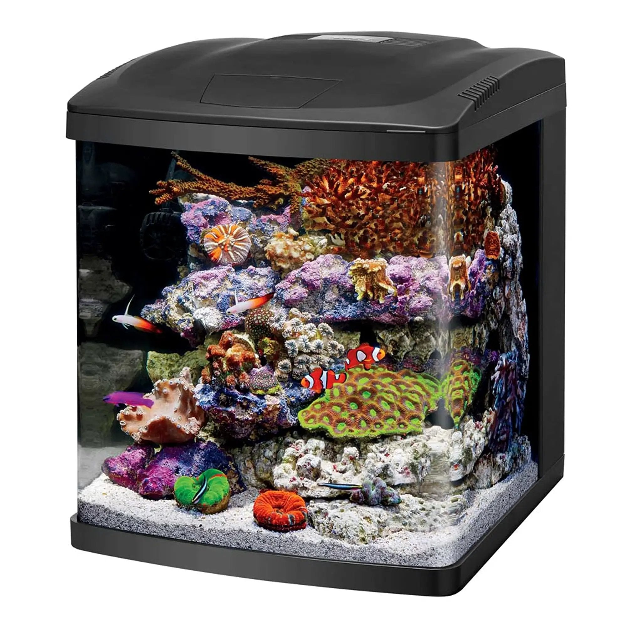Coralife LED BioCube Aquarium Fish Tank Kit 16 Gallon - from For Animals, With Love