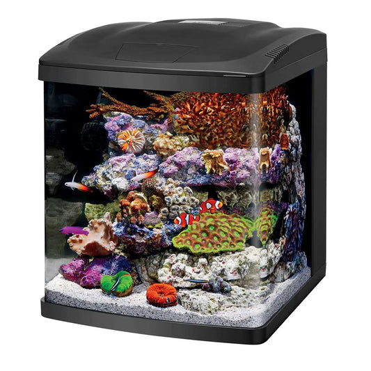 Coralife LED BioCube Aquarium Fish Tank Kit 16 Gallon - from For Animals, With Love