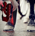 Load image into Gallery viewer, Equine Infrared Red Light Leg Wraps
