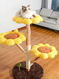 Load image into Gallery viewer, Sunflower Multi-Level Cat Tree & Condo by Pear Daisy; yellow plush petal perches on a natural wood trunk with a cat.
