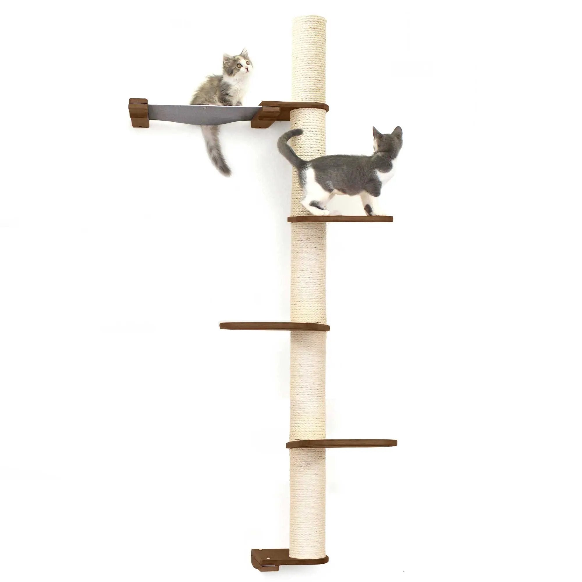 The Crow's Nest wall cat scratcher with hammock on a rope-wrapped post; two kittens.