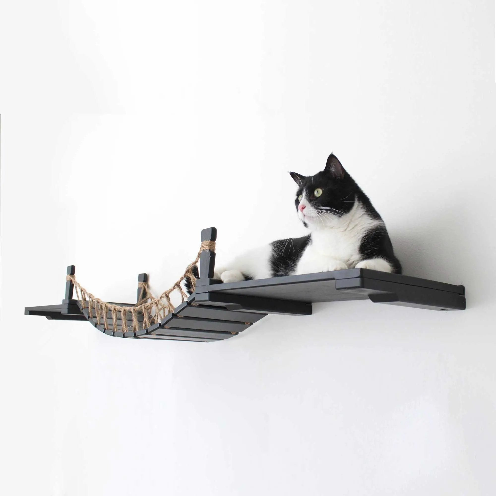 Cat Wall Bridge and Shelf Set, gray wood wall-mounted cat perch with rope bridge, cat perched on top shelf