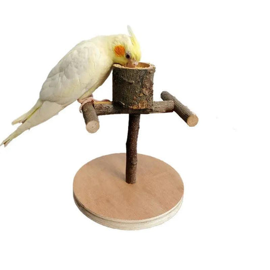 Premium Solid Wood Parrot Station Frame Training Bird Shelf Stand by Sell My Stuff