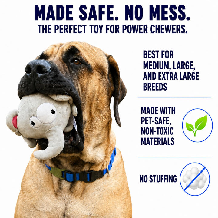 Supplier no-stuffing and power-chewer marketing graphic