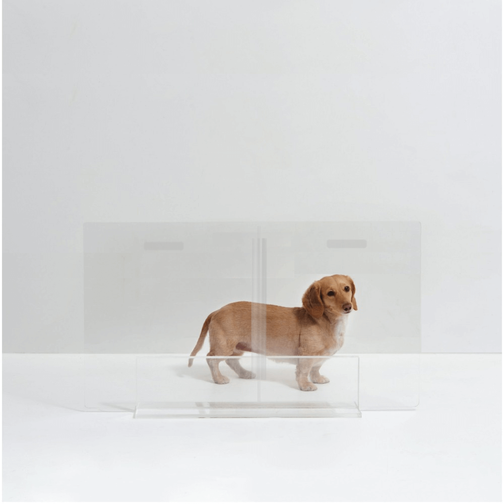 Hiddin Clear Acrylic Panel Pet Gate – Freestanding, 24 in High