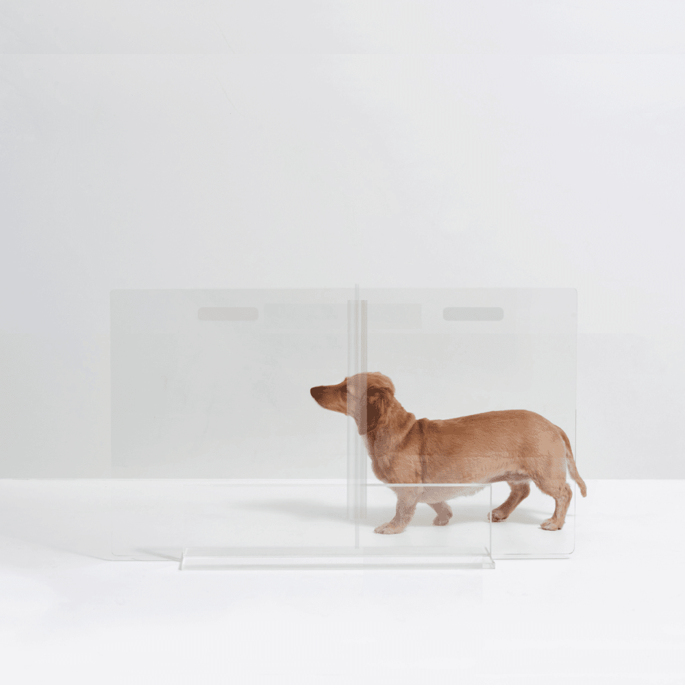 Hiddin Clear Acrylic Panel Pet Gate – Freestanding, 24 in High