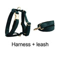 Cargar la imagen en la vista de la galería, Personalized Dark Green Corduroy Harness Collar Leash No Pull Set by DDPaws
