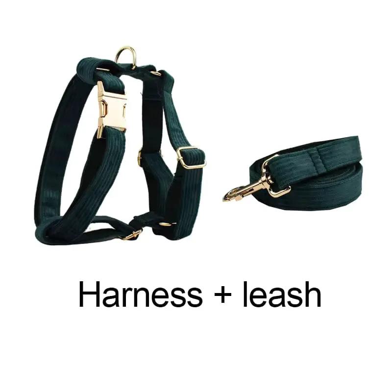 Personalized Dark Green Corduroy Harness Collar Leash No Pull Set by DDPaws