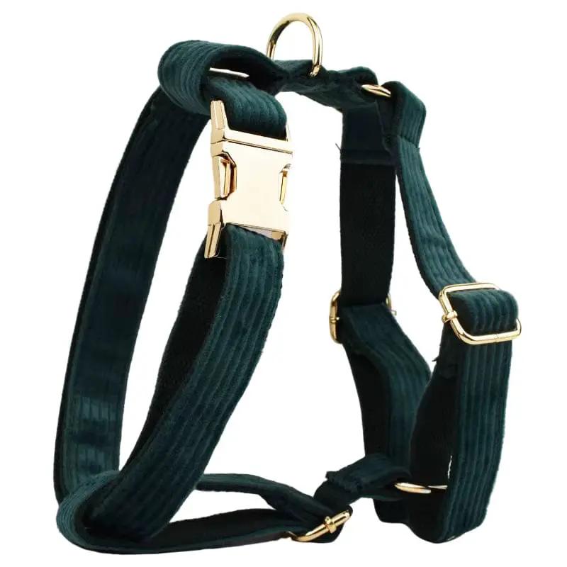 Personalized Dark Green Corduroy Harness Collar Leash No Pull Set by DDPaws