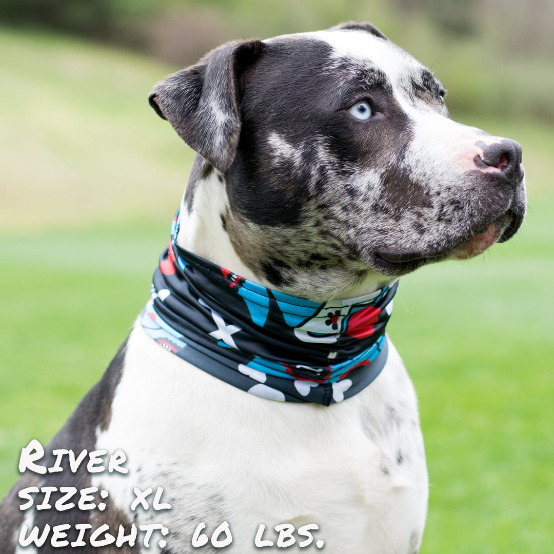 Day of the Dog Blue Pup Scruff Dog Bandana