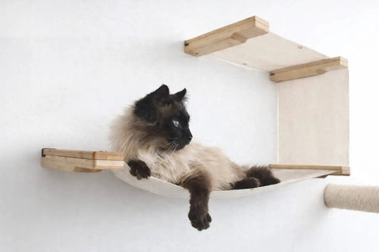 The Double Decker Cat Hammock; beige fabric with natural wood wall mounts and a lounging cat