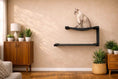Load image into Gallery viewer, The Double Decker cat hanging bed set, two-tier black metal wall perch with fabric hammock and a cat on top.
