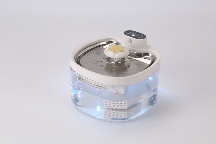 Clear fountain with white and yellow flower outlet