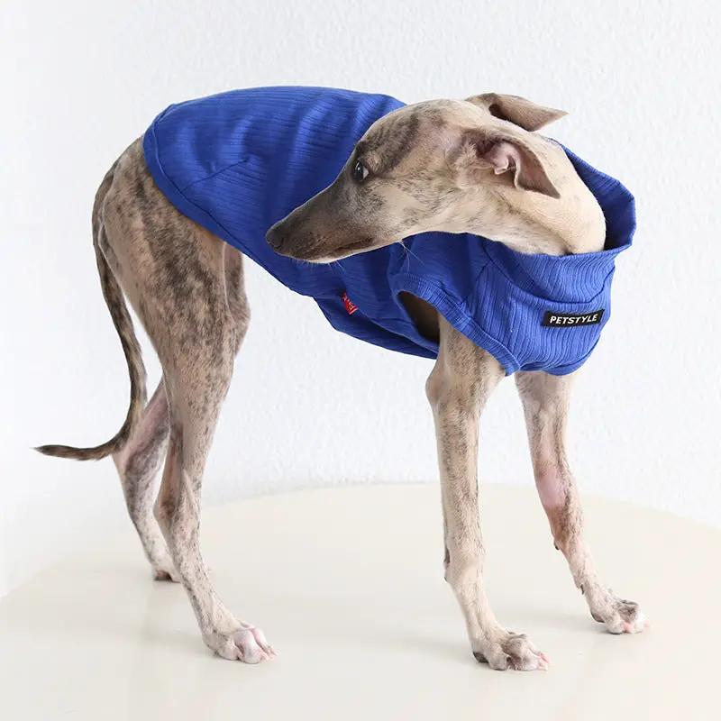 Whippet & Greyhound Spring Vest dog costume in bright blue quilted fabric; PETSTYLE logo patch visible.