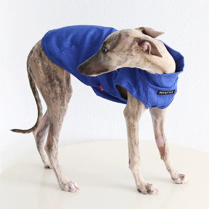 Whippet &amp; Greyhound Spring Vest dog costume in bright blue quilted fabric; PETSTYLE logo patch visible.