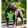 Load image into Gallery viewer, Dog Supplies Breathable Mesh Chest Strap Car Safety Harness Vest by For Animals, With Love
