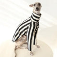 Cargar la imagen en la vista de la galería, Whippet & Greyhound striped shirt by SOCKPET, black and white pet costume
