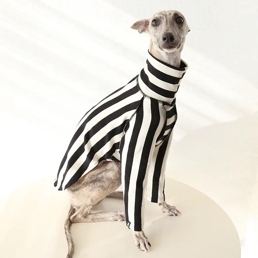 Whippet & Greyhound striped shirt by SOCKPET, black and white pet costume