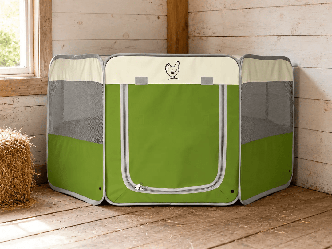 Hen Pen Deluxe Pop-Up Chick Brooder by My Pet Chicken, green and cream fabric with mesh side panels