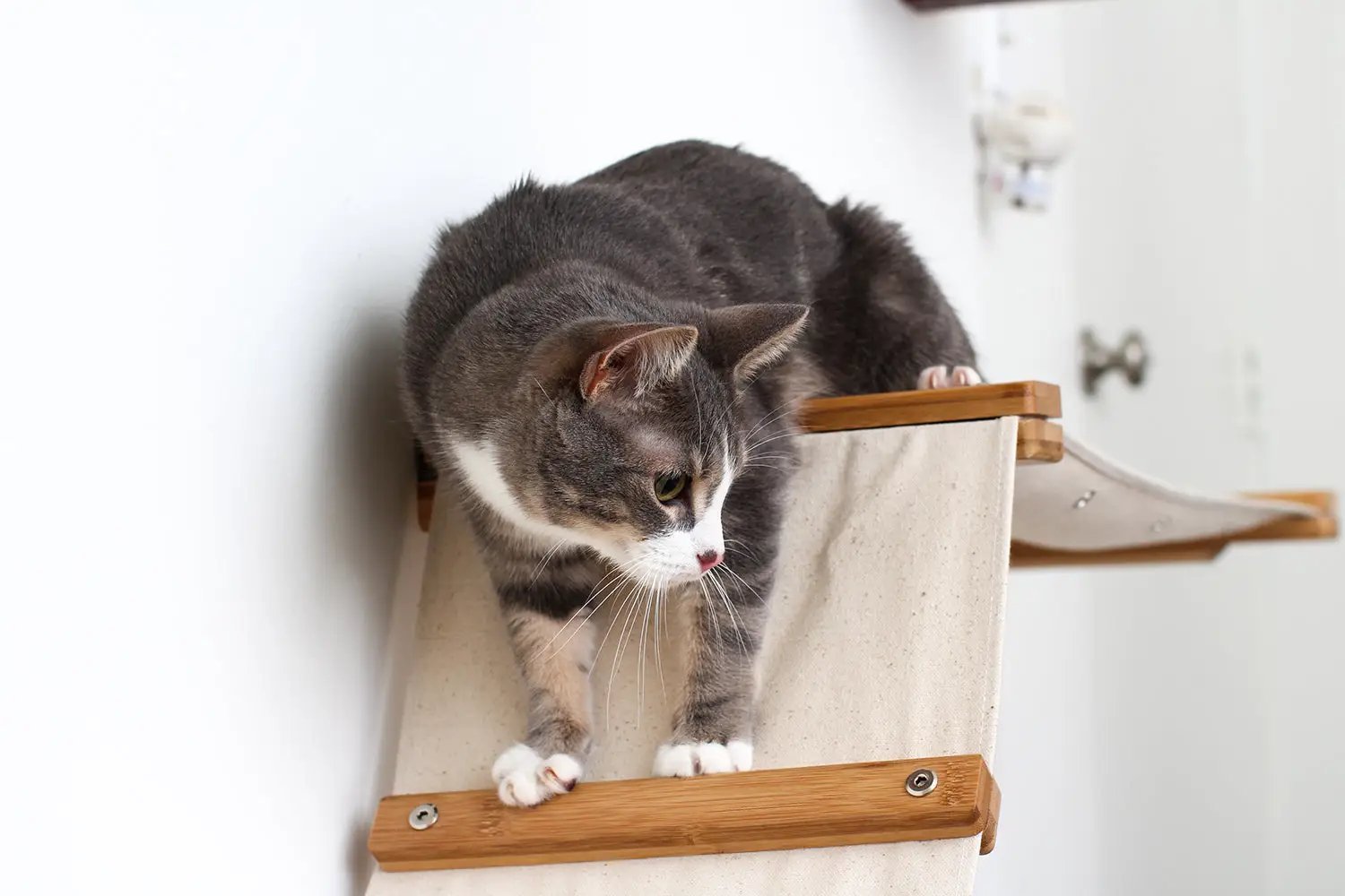 The Raceway wall-mounted cat hammock by Catastrophic Creations with beige canvas and wood rails
