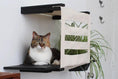 Carica l'immagine nel visualizzatore della galleria, Deluxe Cat Cubby Bed by Catastrophic Creations; beige fabric cover with black platform, cat lounging inside.
