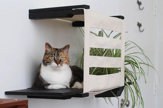 Deluxe Cat Cubby Bed by Catastrophic Creations; beige fabric cover with black platform, cat lounging inside.