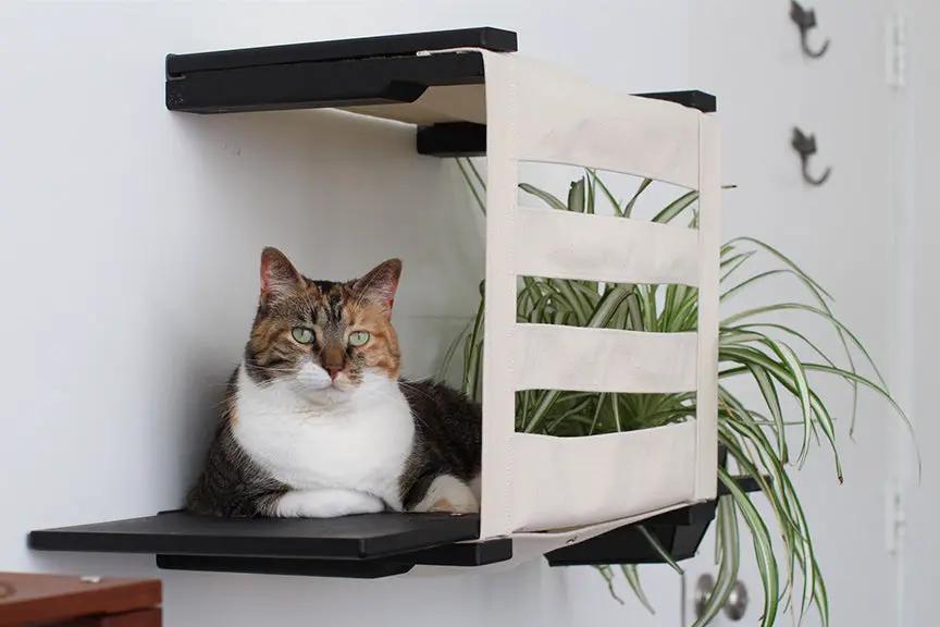 Deluxe Cat Cubby Bed by Catastrophic Creations; beige fabric cover with black platform, cat lounging inside.
