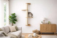 Charger l'image dans la visionneuse de la galerie, Wall-mounted cat climbing pole sisal by Catastrophic Creations, with three wooden platforms and a cat on middle shelf.
