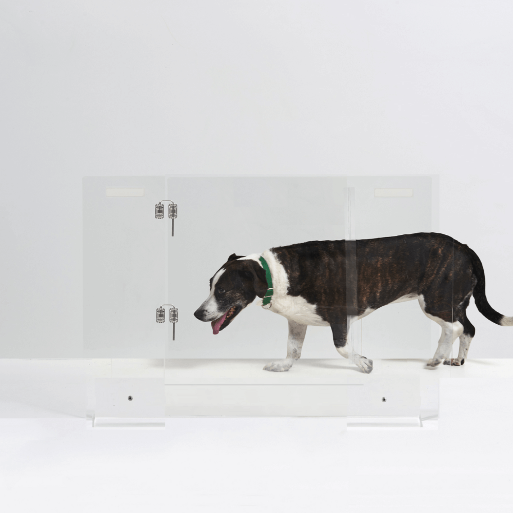Hiddin Clear Acrylic Pet Gate with Door – Freestanding, 30 in High