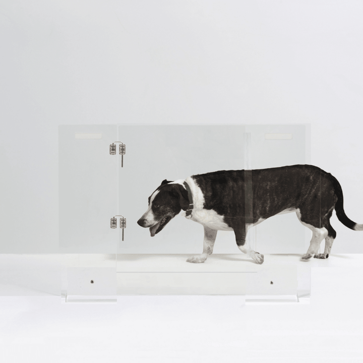 Hiddin Clear Acrylic Pet Gate with Door – Freestanding, 30 in High